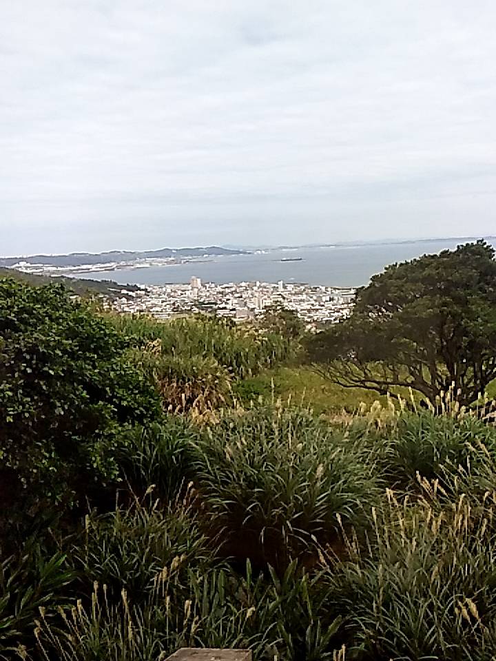 南部の丘の上から街と海を見渡す風景